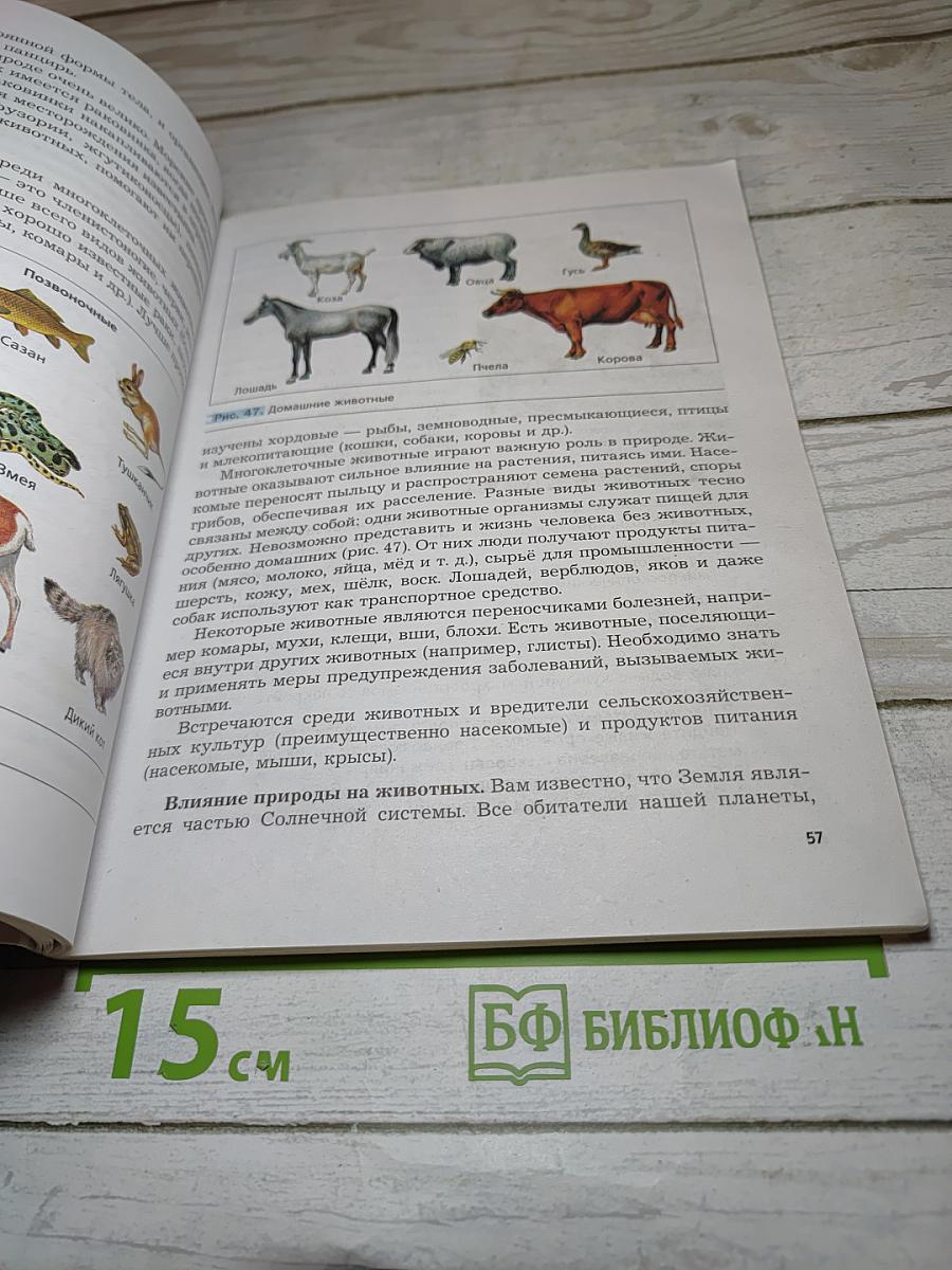 Биология 5 класс