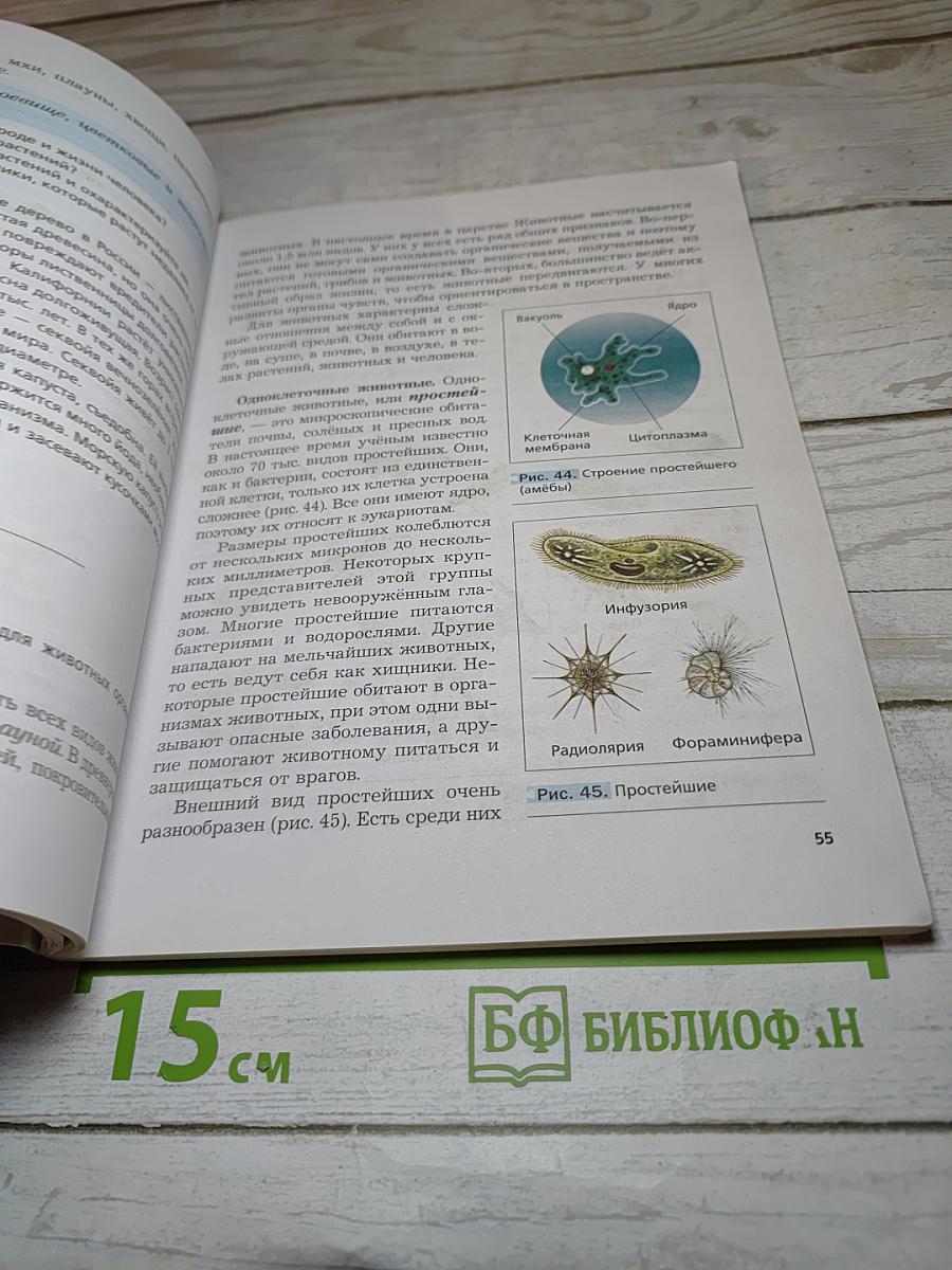 Биология 5 класс
