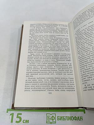 В Чьи Паруса Ветер