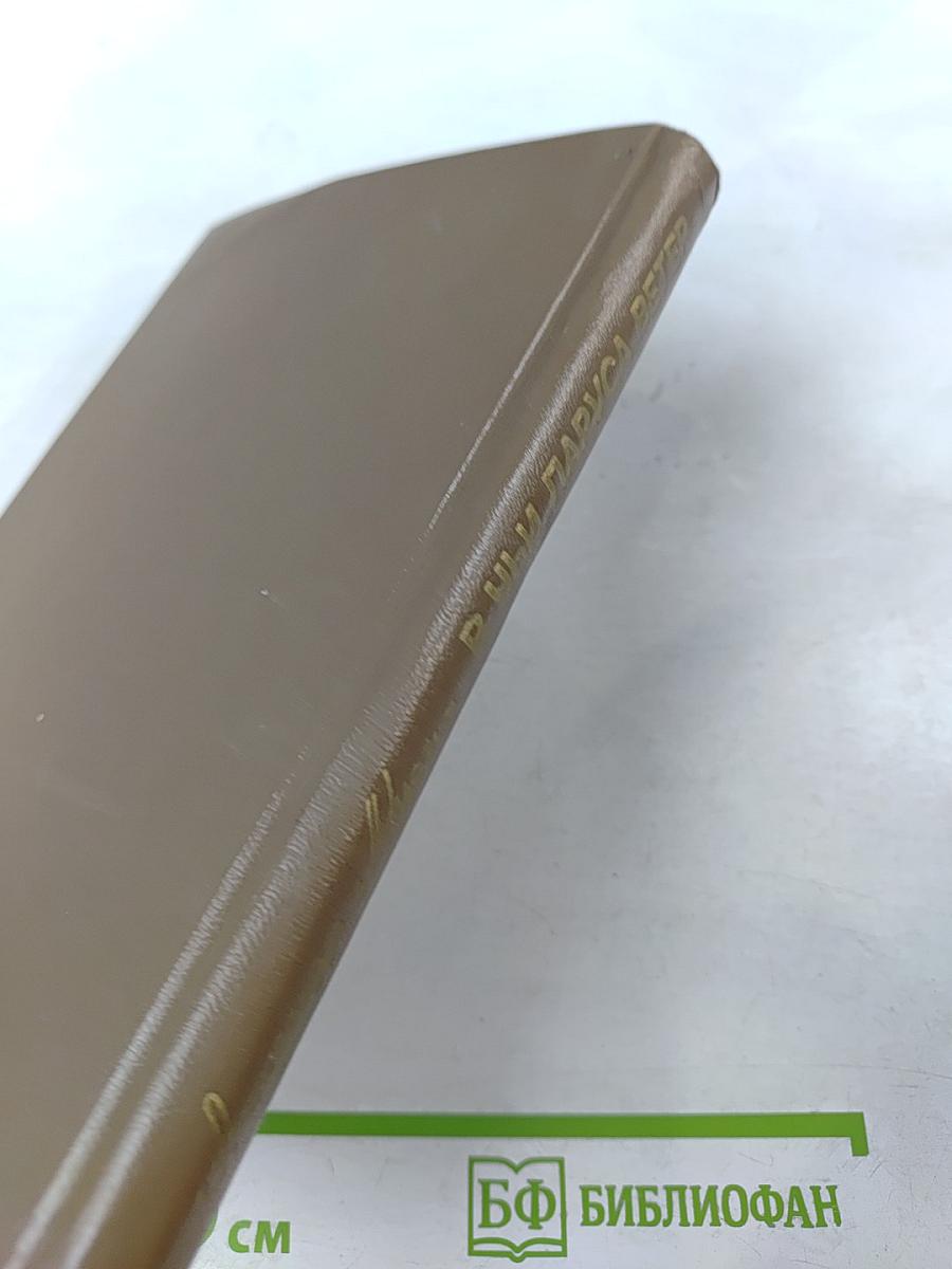 В Чьи Паруса Ветер