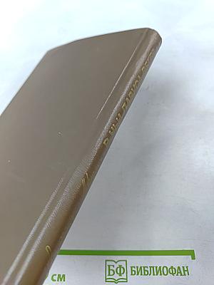 В Чьи Паруса Ветер