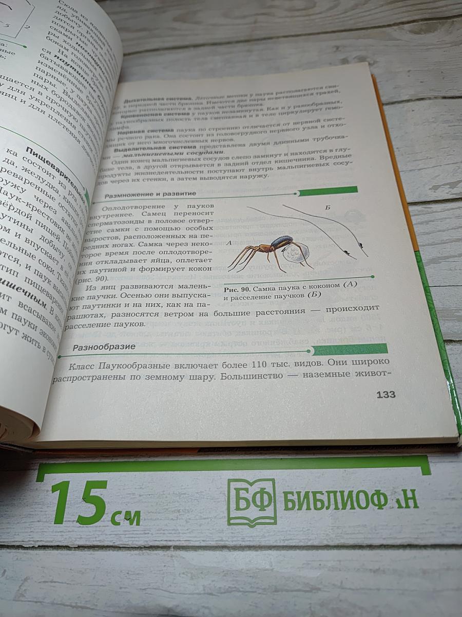 Биология 8 класс