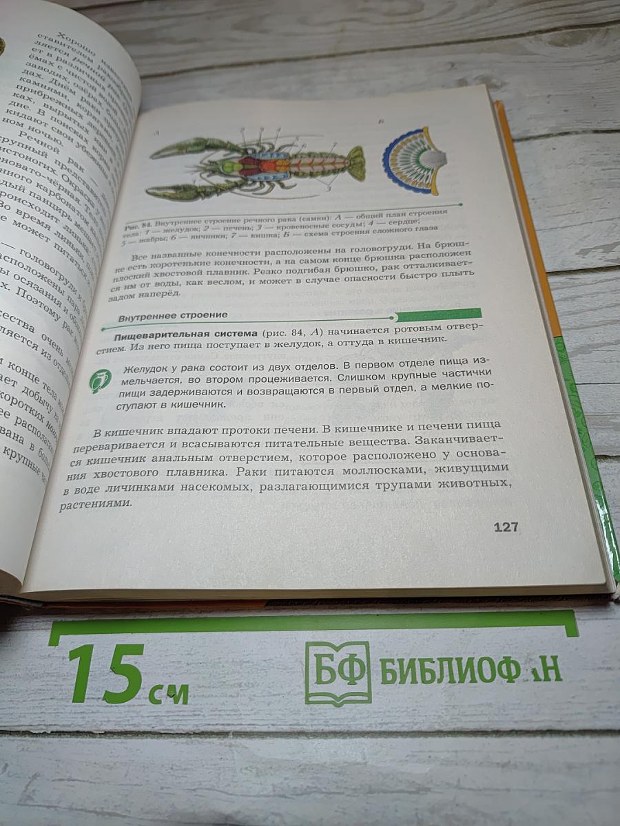 Биология 8 класс