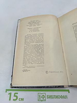 Большой гвоздь