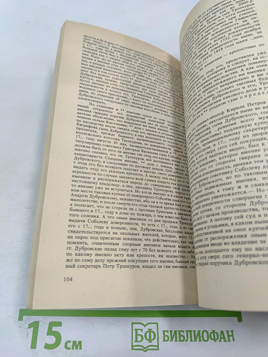 Капитанская дочка