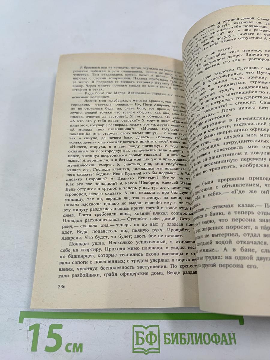 Капитанская дочка