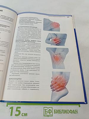 Крепкие нервы. Периферическая нервная система