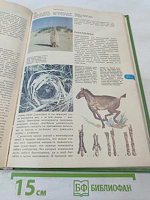 Энциклопедический словарь юного биолога