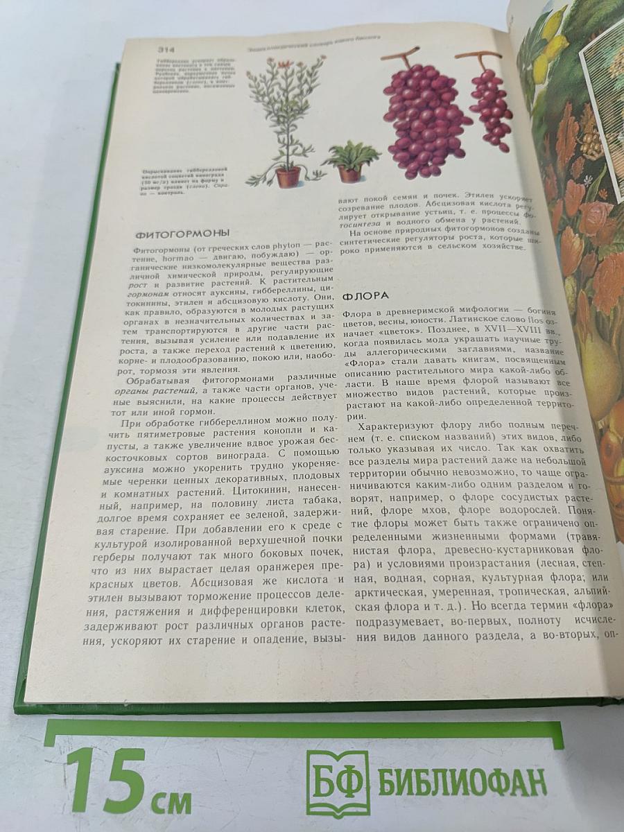 Энциклопедический словарь юного биолога