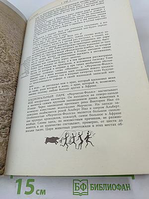 Сафари под Килиманджаро