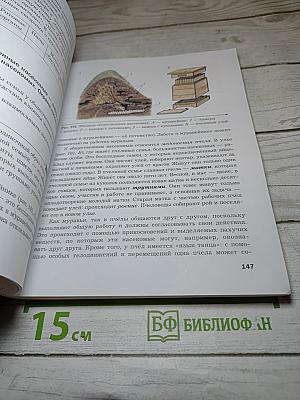 Биология 8 класс