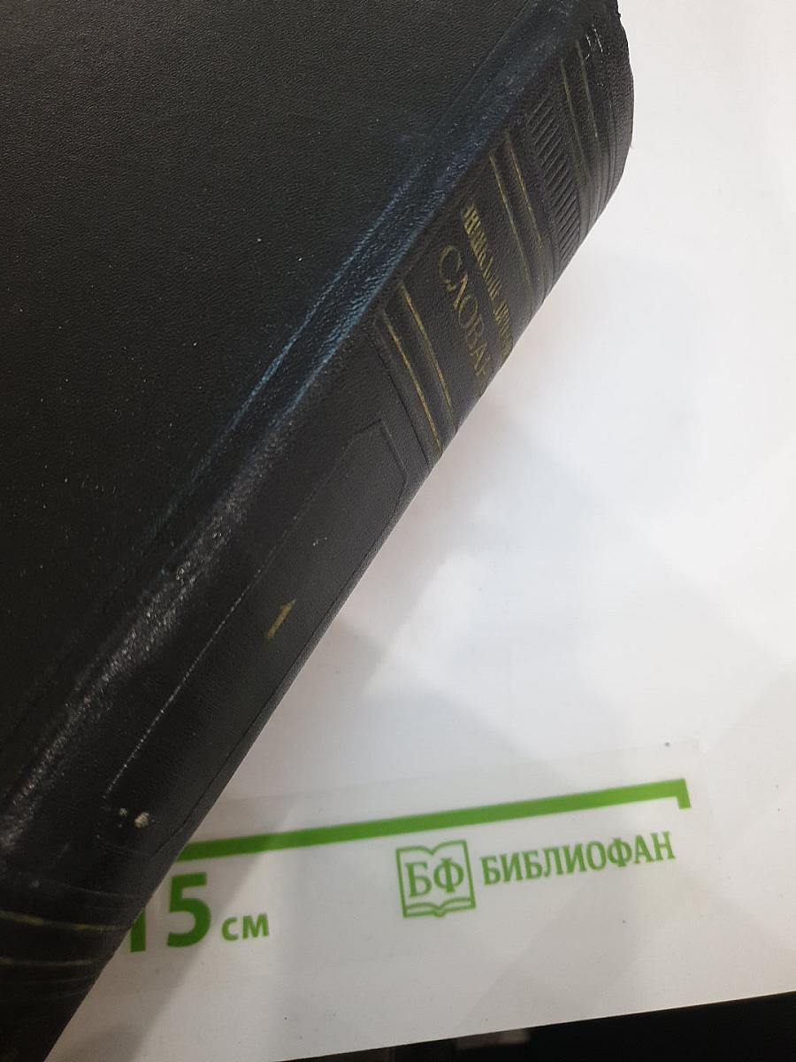 Энциклопедический словарь. Том 1: А-Й