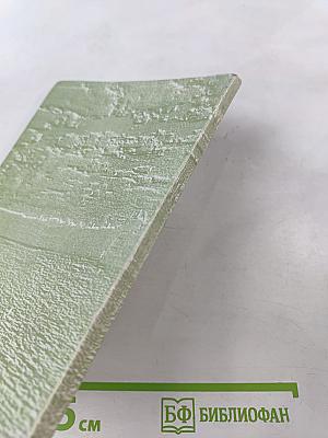 Нейроиммунология: Девятая конференция