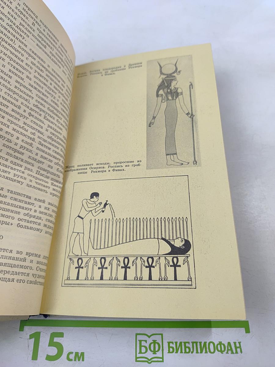 Древо жизни