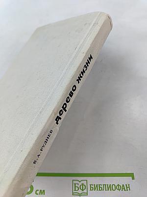 Древо жизни