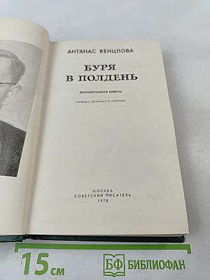 Буря в полдень