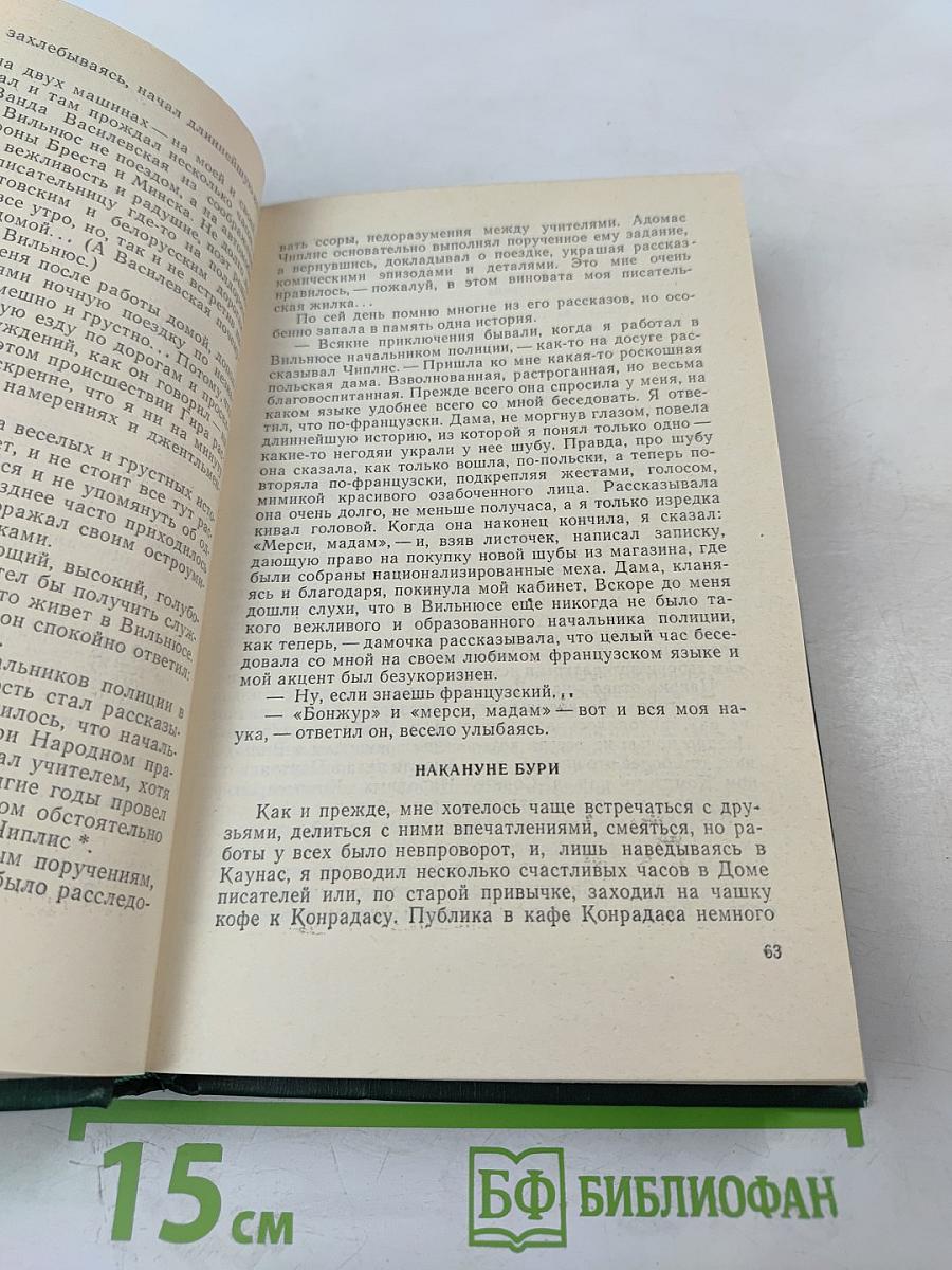 Буря в полдень