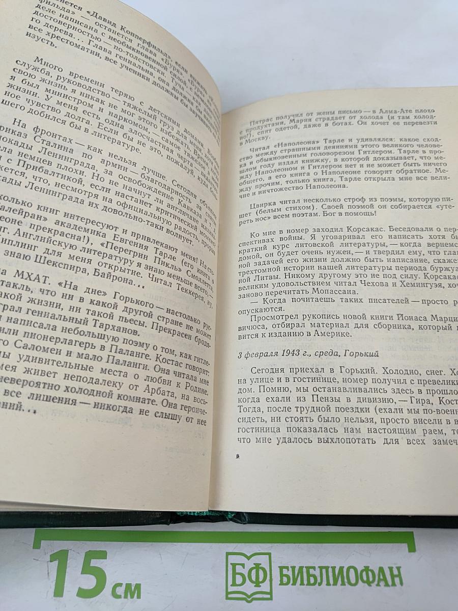 Буря в полдень