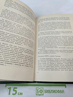 Буря в полдень