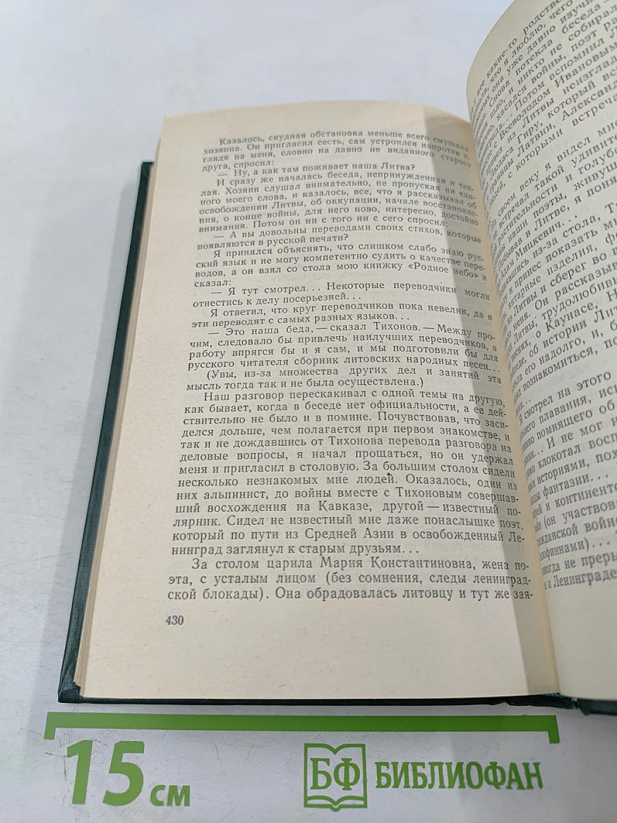 Буря в полдень