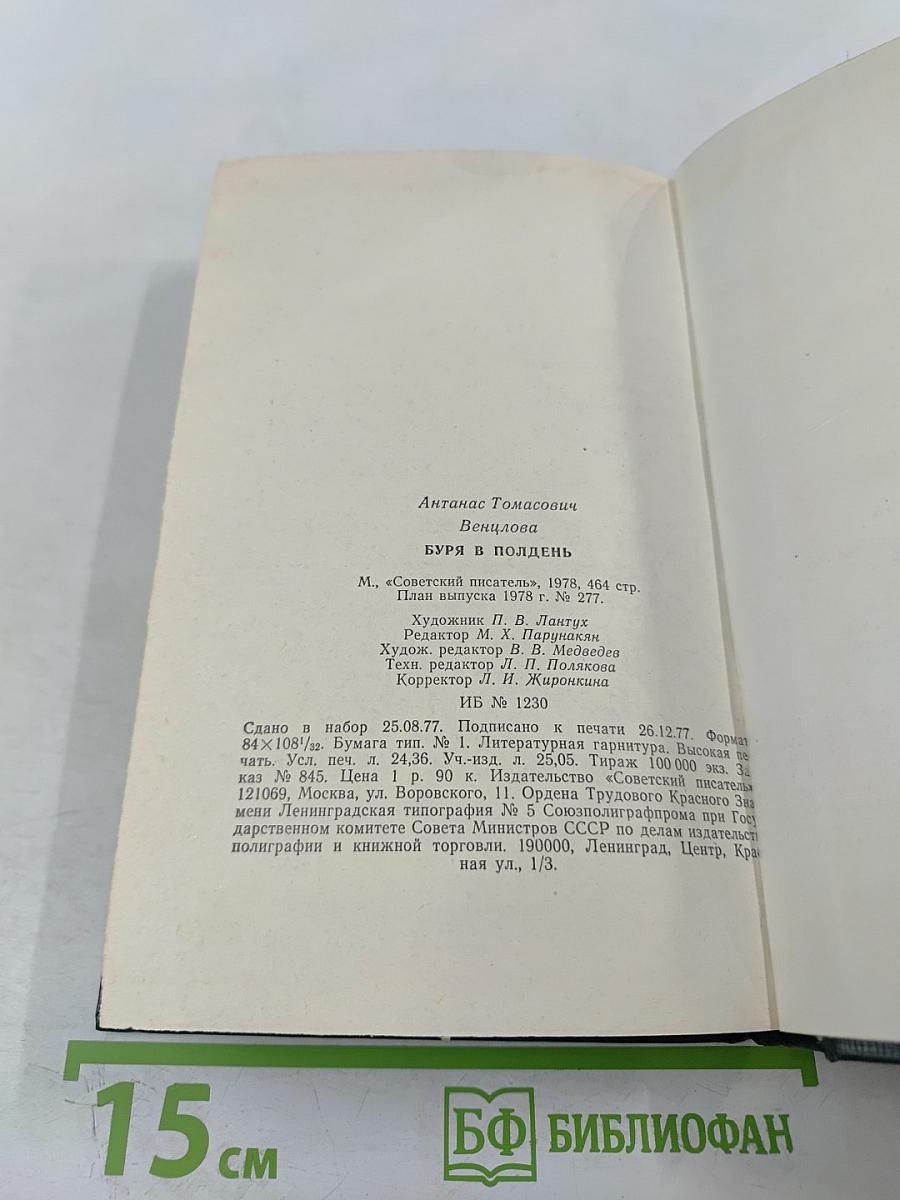 Буря в полдень