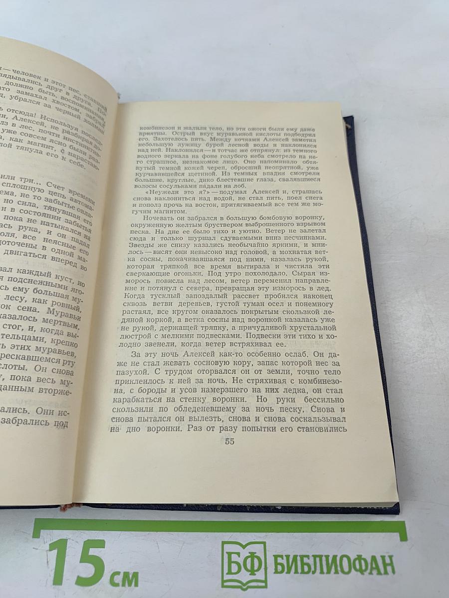 Повесть о настоящем человеке