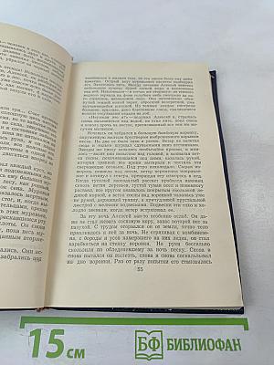 Повесть о настоящем человеке