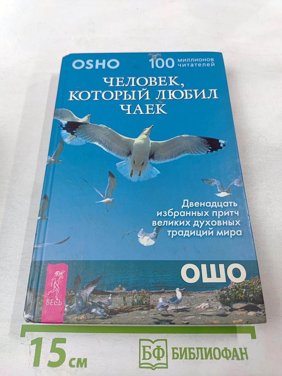 Человек, который любил чаек