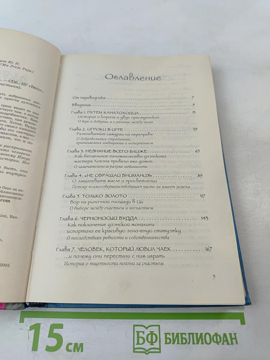 Человек, который любил чаек