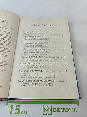 Человек, который любил чаек