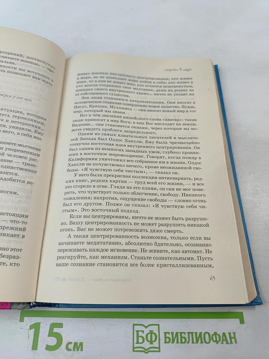 Человек, который любил чаек