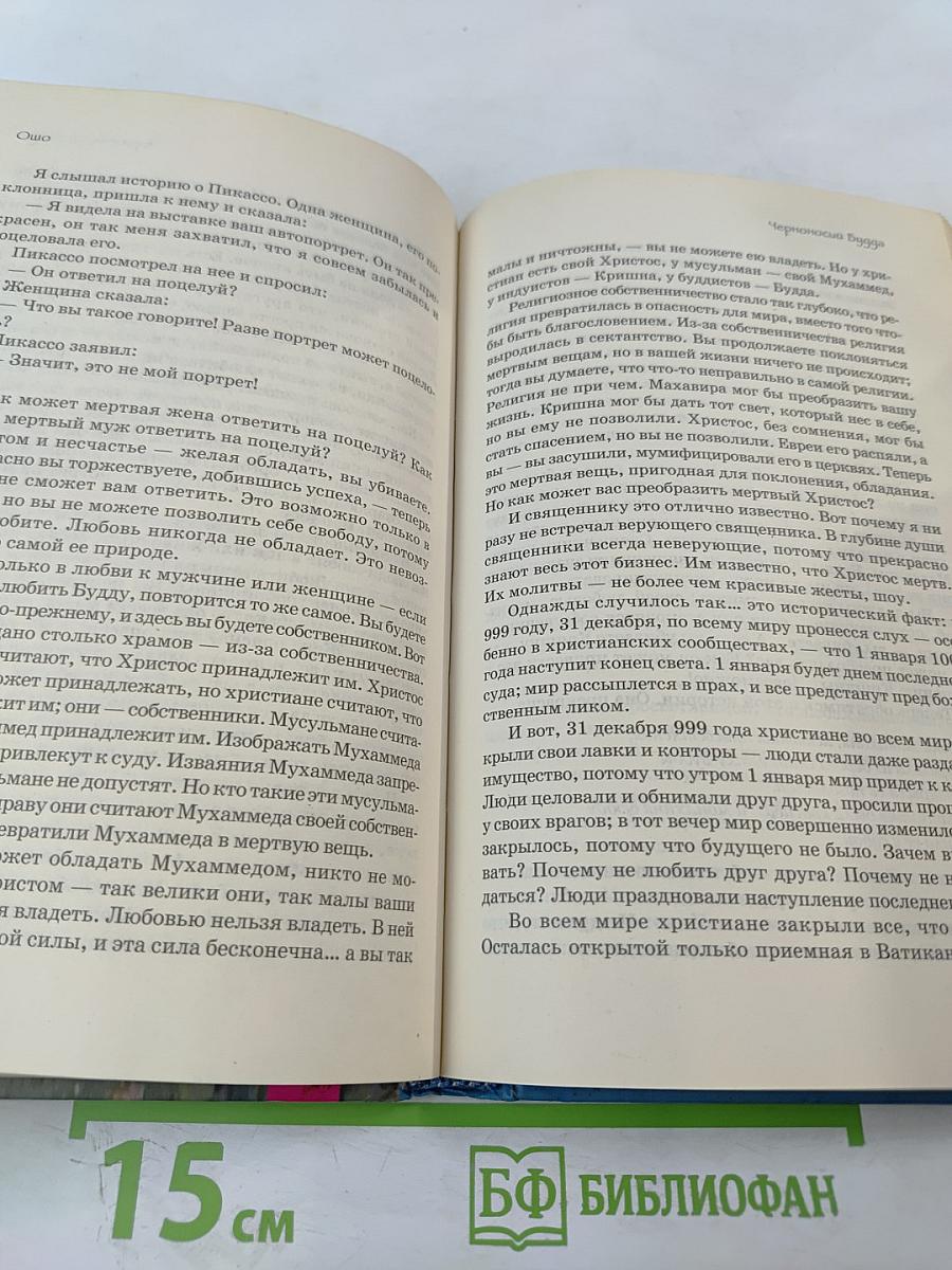 Человек, который любил чаек