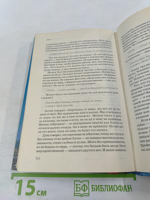 Человек, который любил чаек