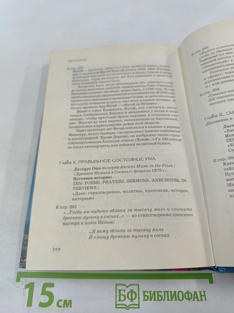 Человек, который любил чаек