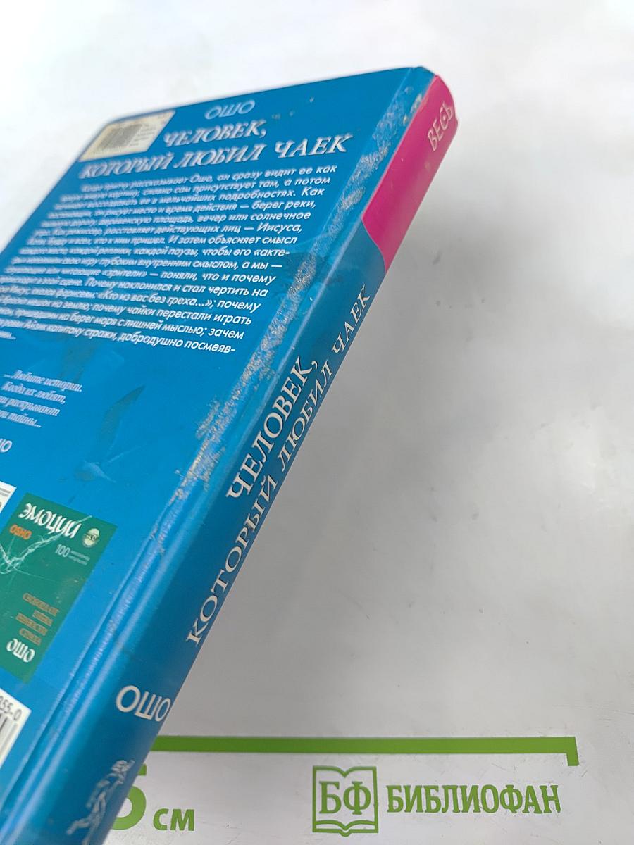 Человек, который любил чаек