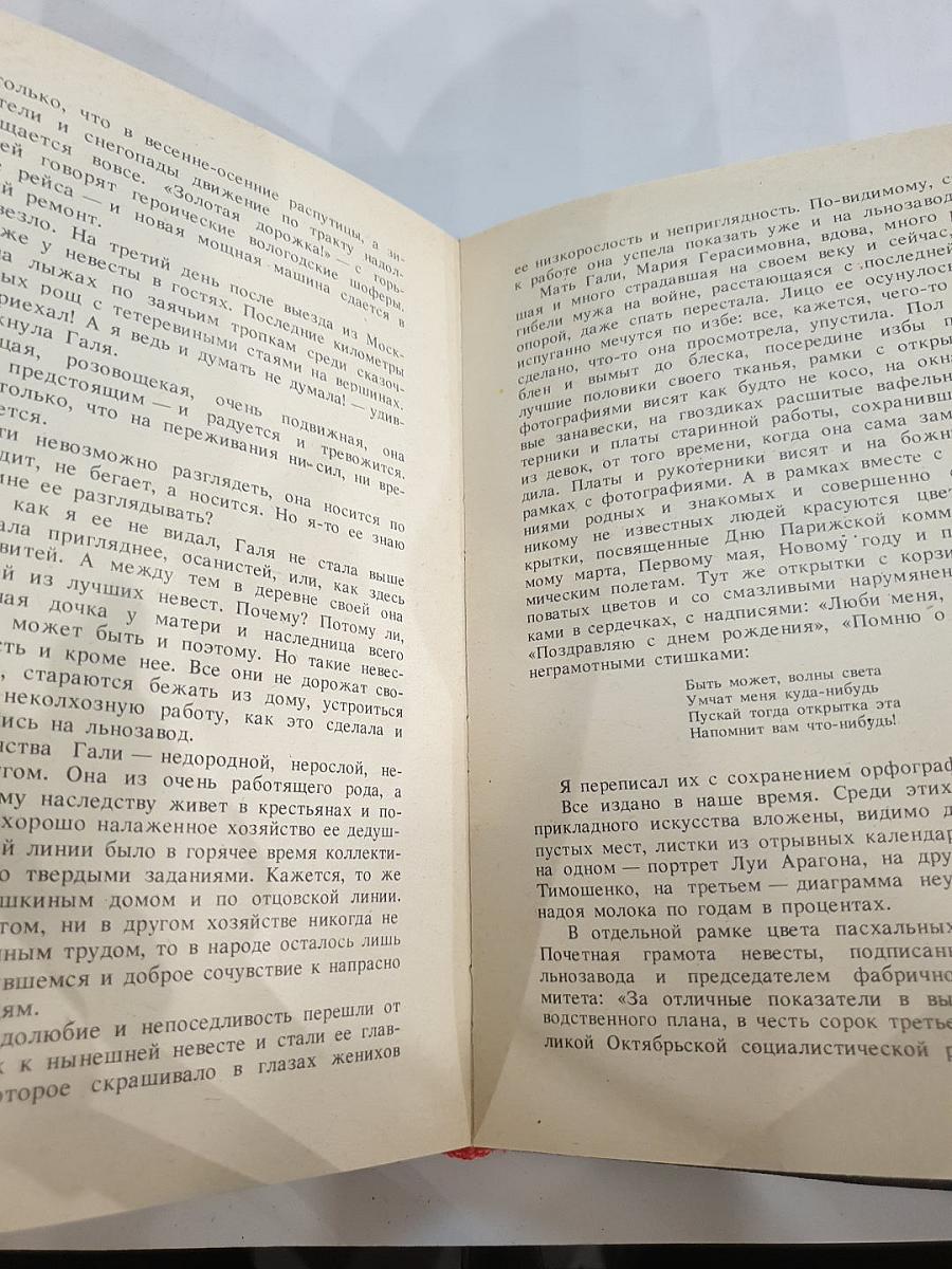Угощаю рябиной