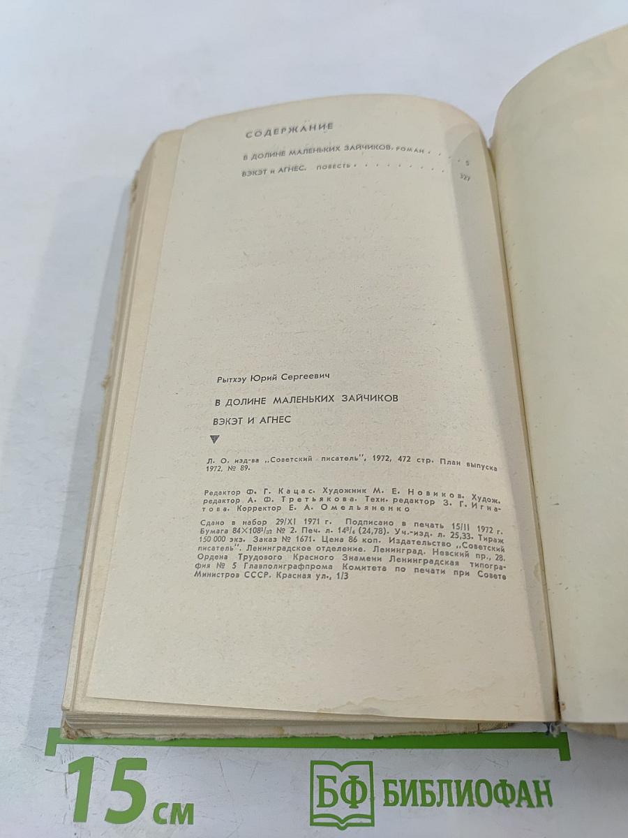 В долине маленьких зайчиков. Вэкэт и Агнес