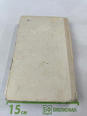 В долине маленьких зайчиков. Вэкэт и Агнес