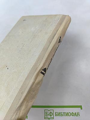 В долине маленьких зайчиков. Вэкэт и Агнес