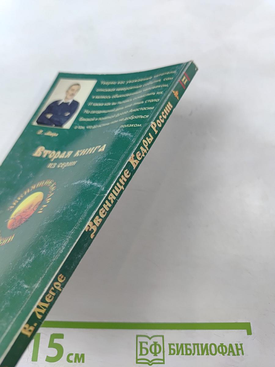 Звенящие Кедры России. Книга вторая