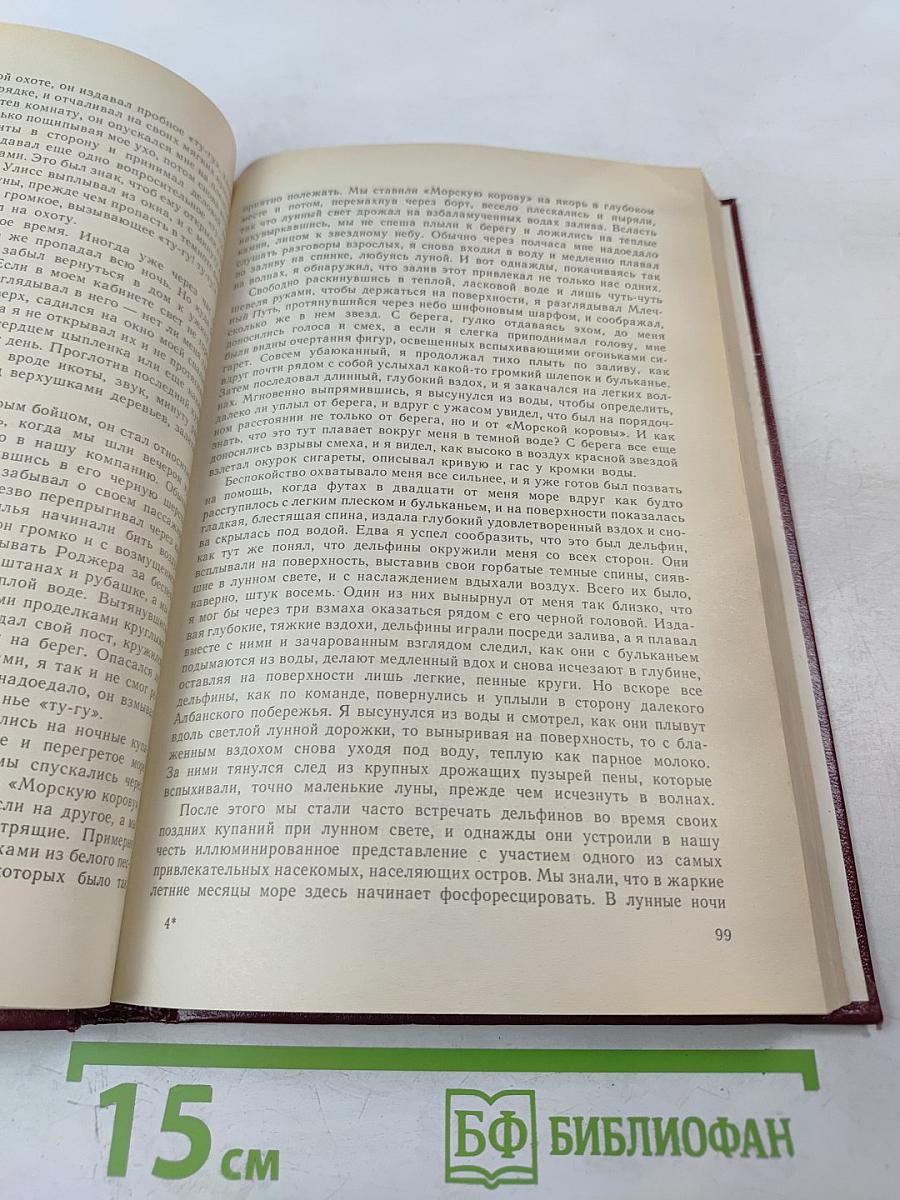 Моя семья и другие звери; Путь кенгуренка