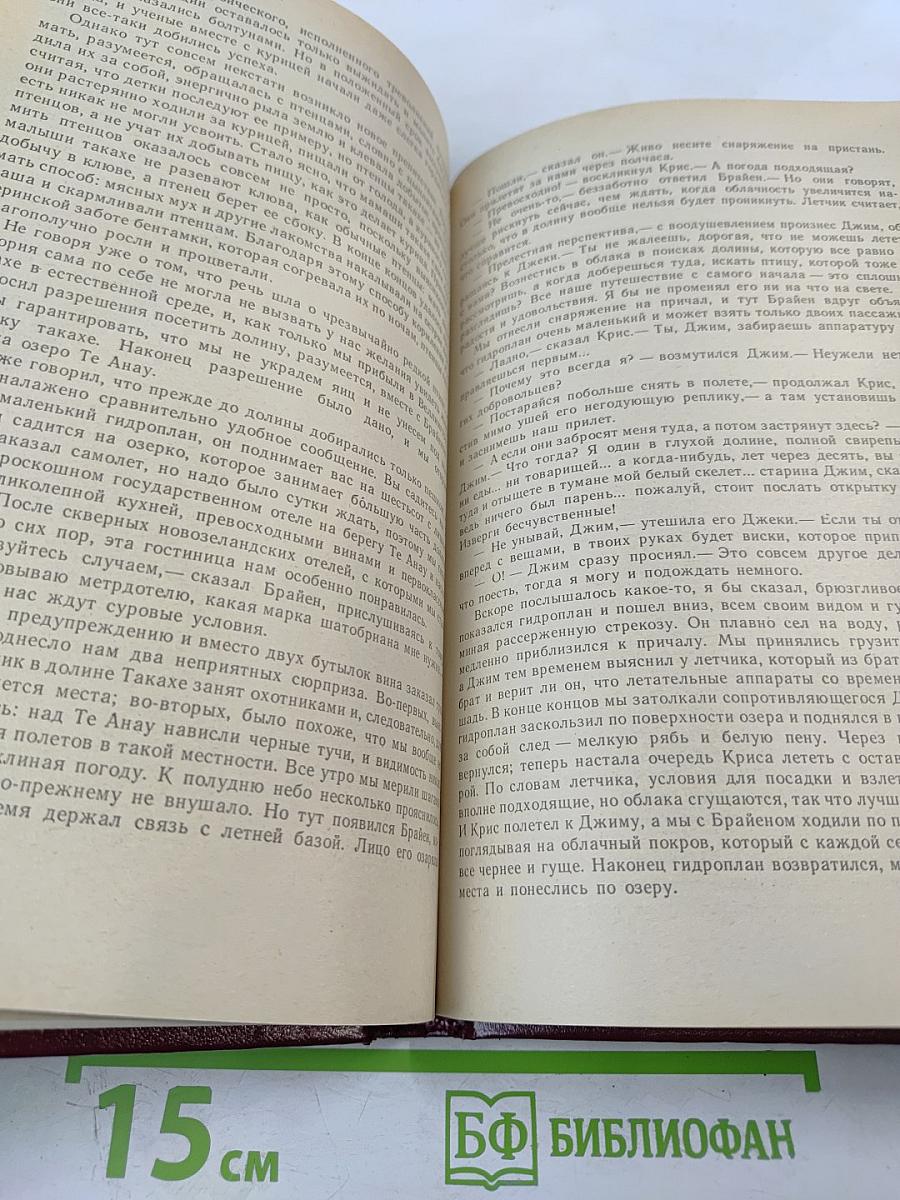 Моя семья и другие звери; Путь кенгуренка