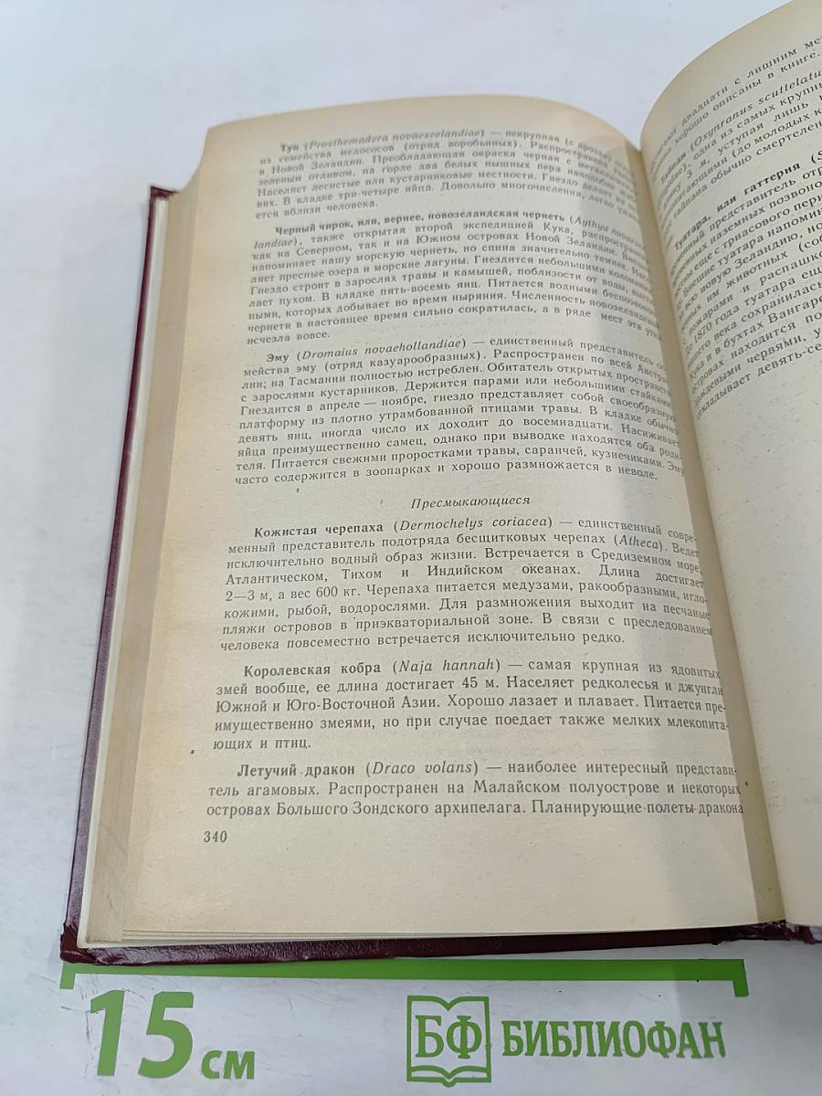 Моя семья и другие звери; Путь кенгуренка