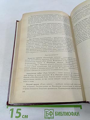 Моя семья и другие звери; Путь кенгуренка