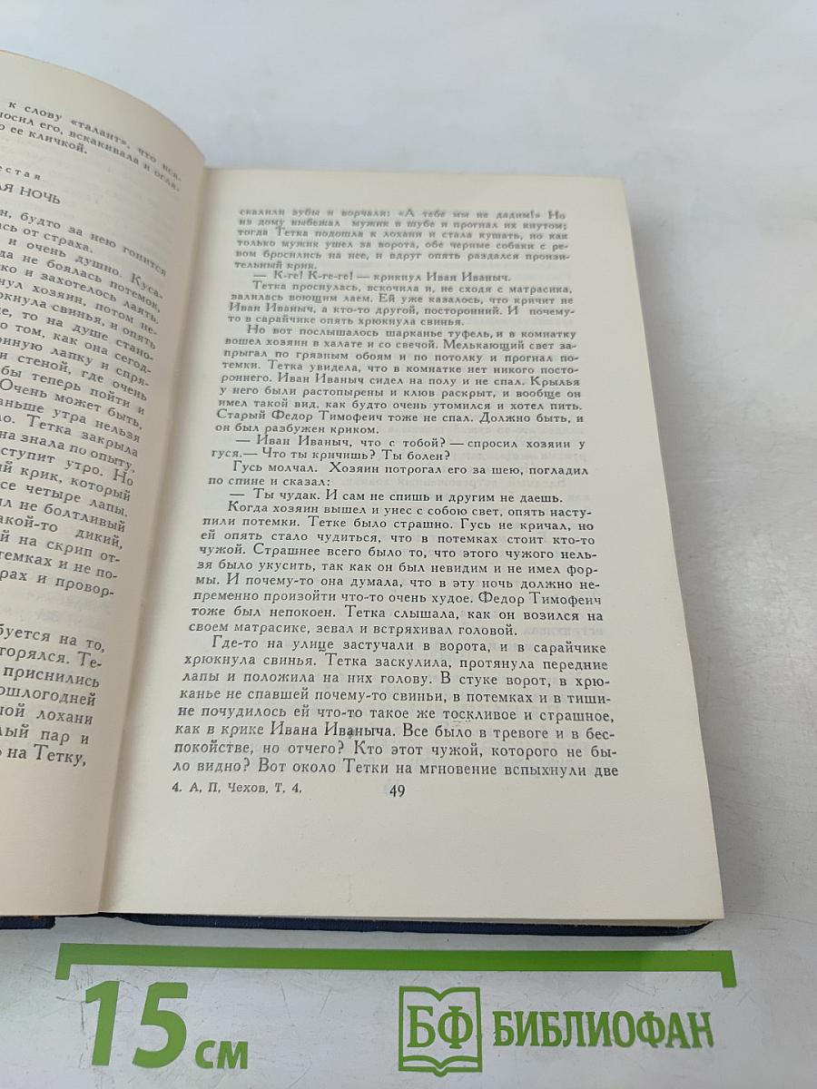 Собрание сочинений. Том 4: Рассказы, повести, статьи и фельетоны 1887-1891