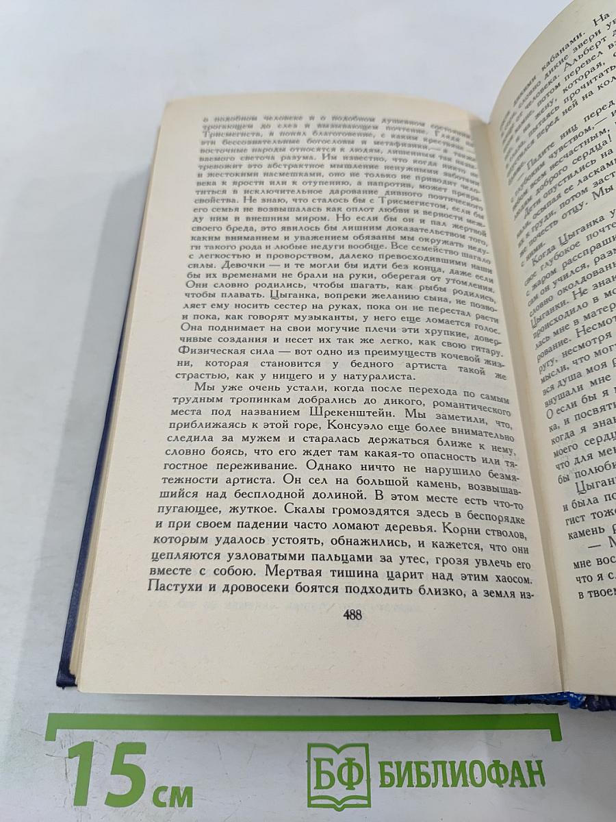 Графиня Рудольштадт