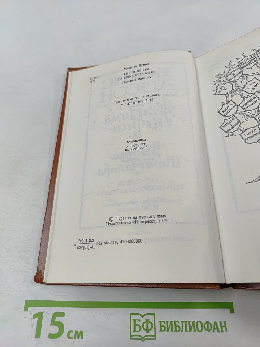 Железный король. Узница Шато-Гайара