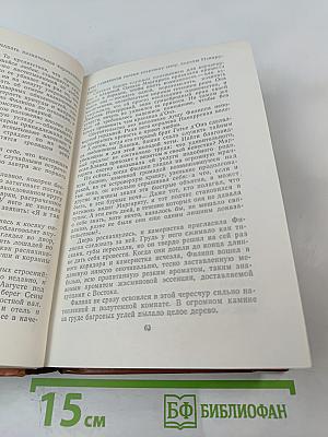 Железный король. Узница Шато-Гайара