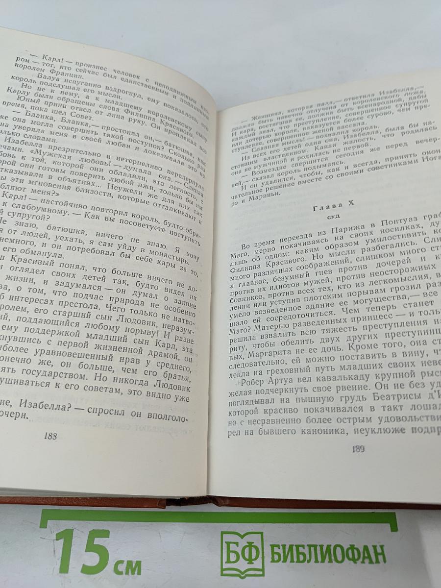 Железный король. Узница Шато-Гайара