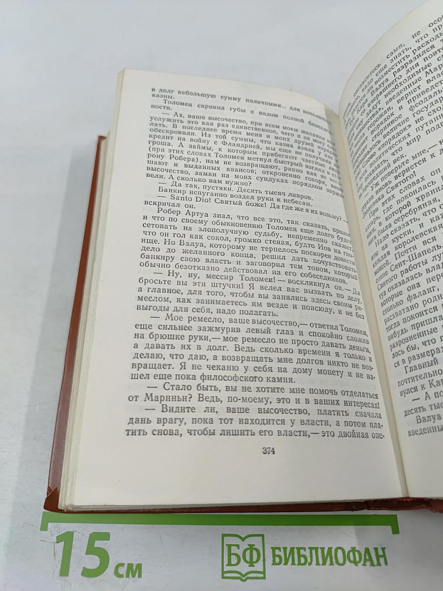 Железный король. Узница Шато-Гайара